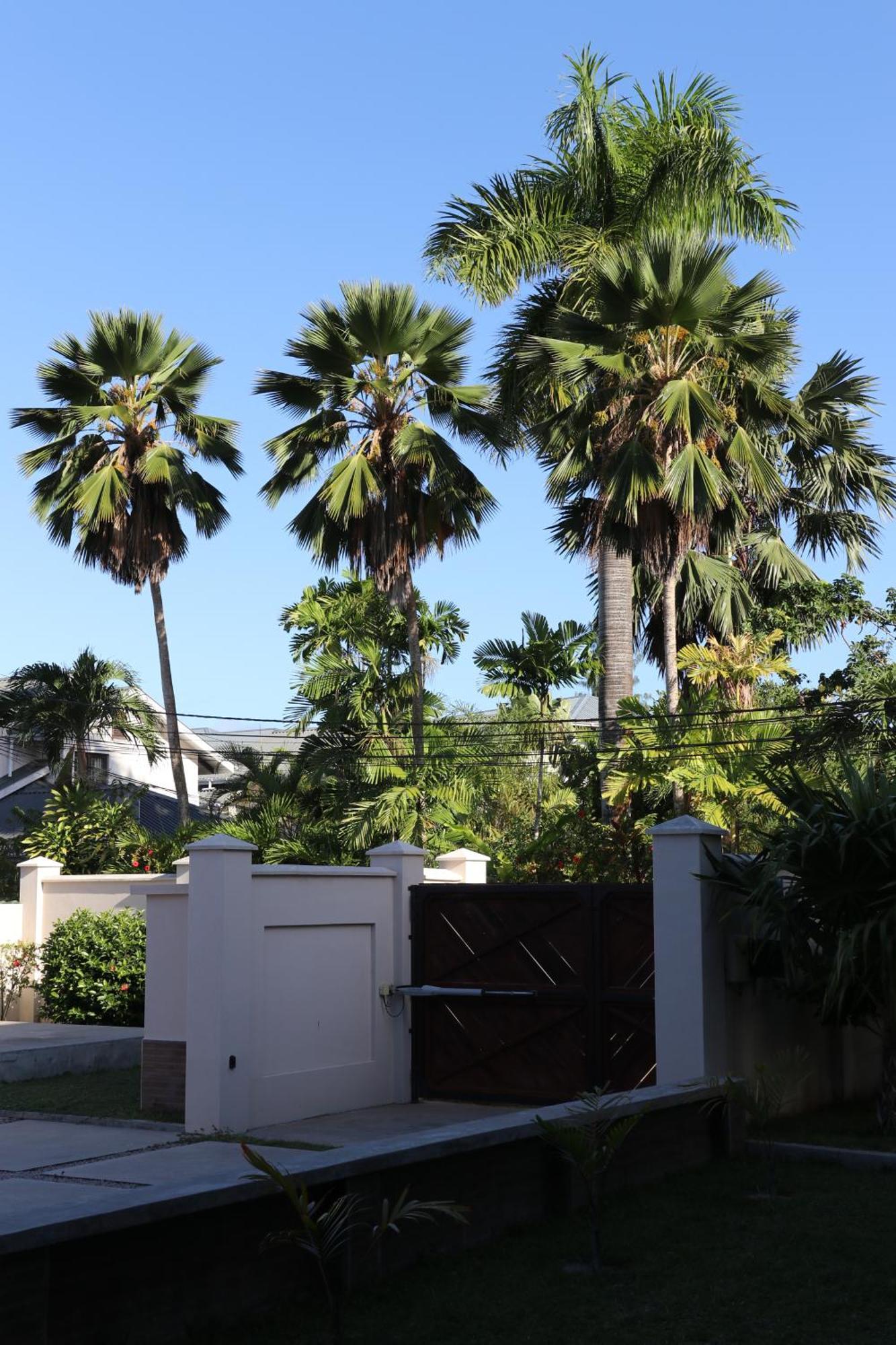 Hotel La Roussette Anse aux Pins Kültér fotó